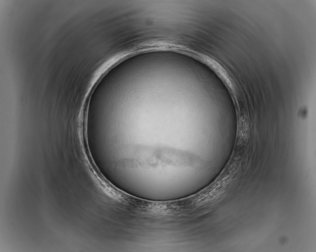 X0000101211098200806271409
