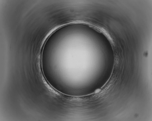 X0000101211100200806271409