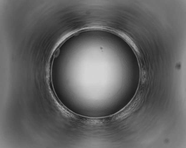 X0000101211101200806271409
