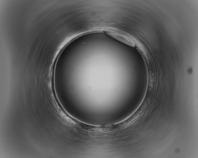 X0000101211102200806271409
