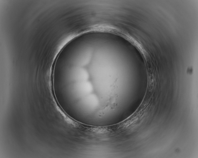 X0000101211103200806271409