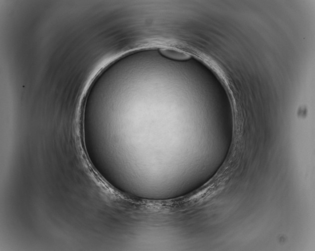 X0000101211104200806271408