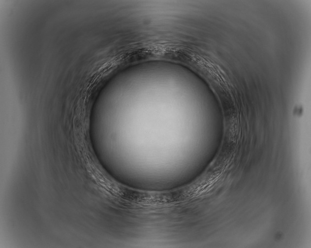 X0000101211105200806271408