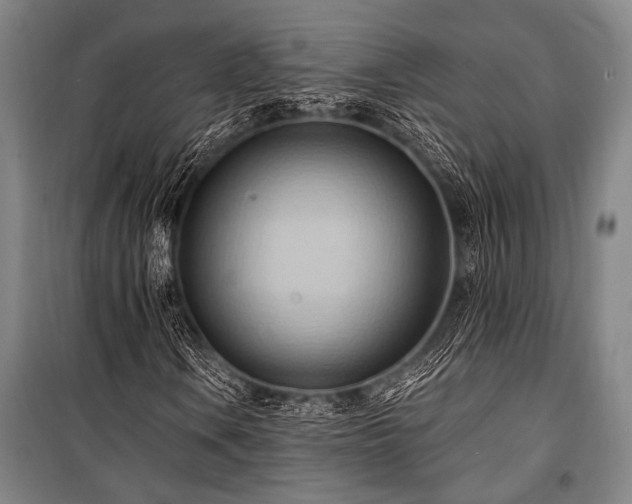 X0000101211106200806271408