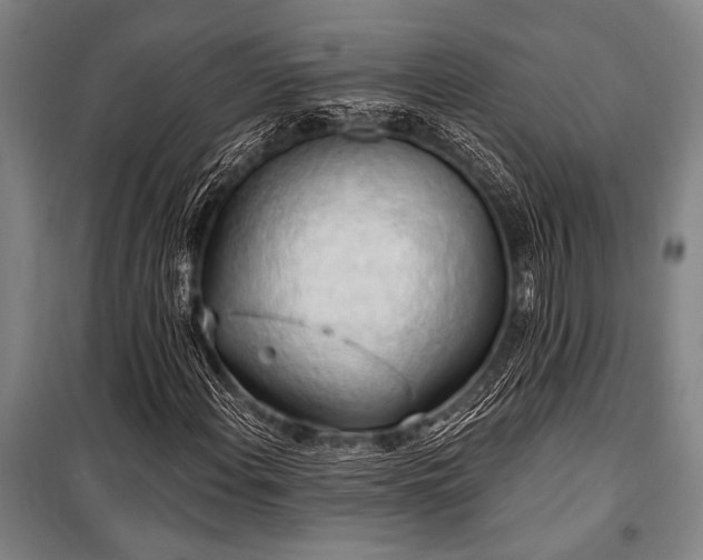 X0000101211108200806271408