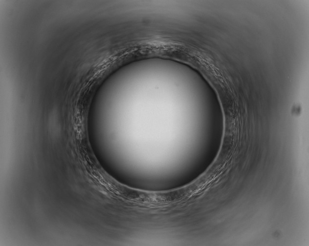 X0000101211109200806271408