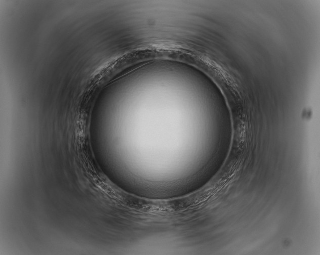 X0000101211110200806271408