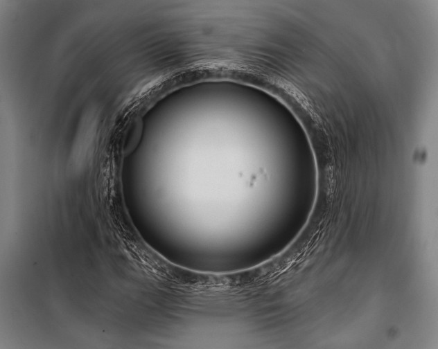 X0000101211111200806271408