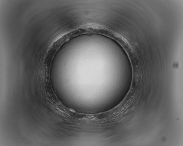X0000101211112200806271408