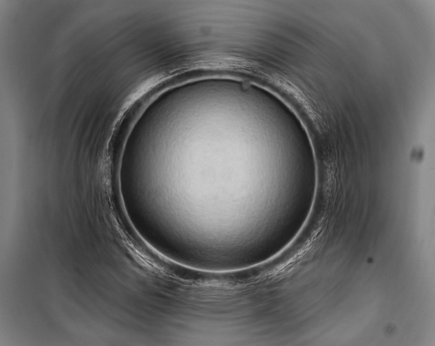 X0000101211114200806271408