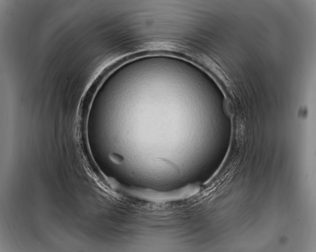 X0000101211116200806271408