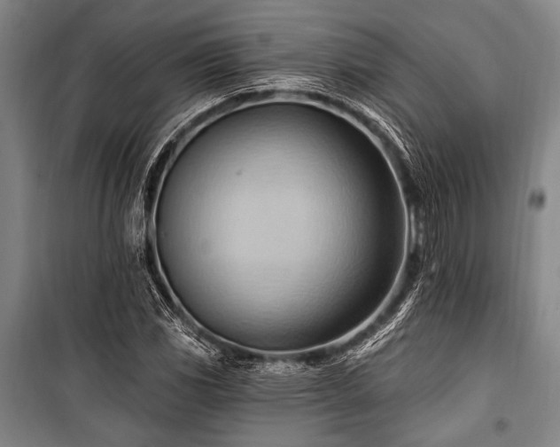 X0000101211117200806271408