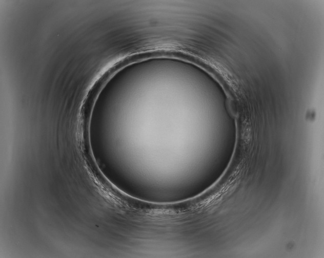 X0000101211118200806271408