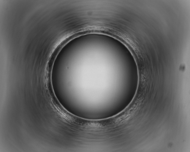 X0000101211119200806271408