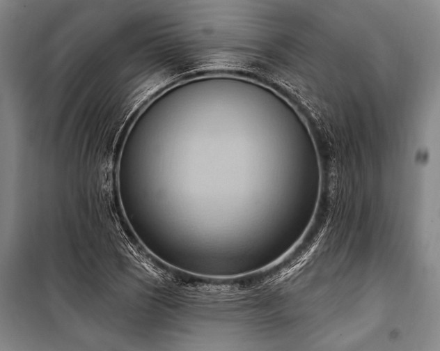 X0000101211121200806271408