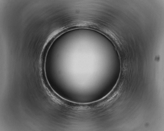 X0000101211122200806271408