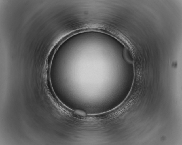 X0000101211124200806271408