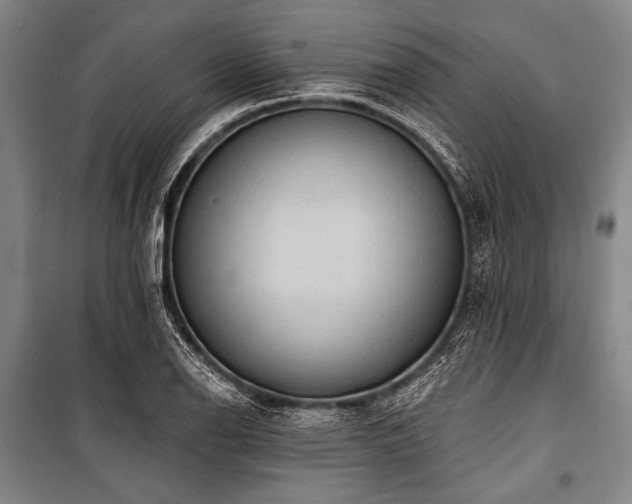 X0000101211126200806271408