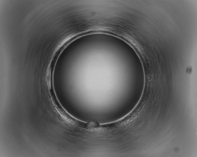 X0000101211127200806271408