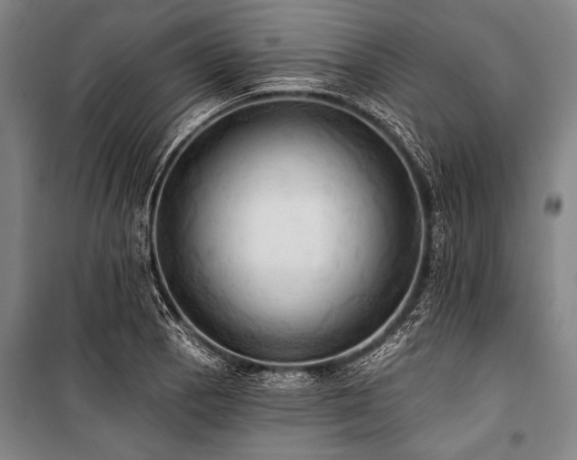 X0000101211129200806271408