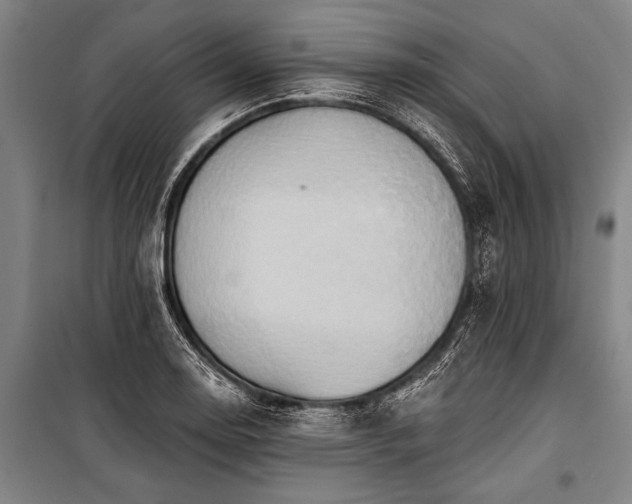 X0000101211130200806271408