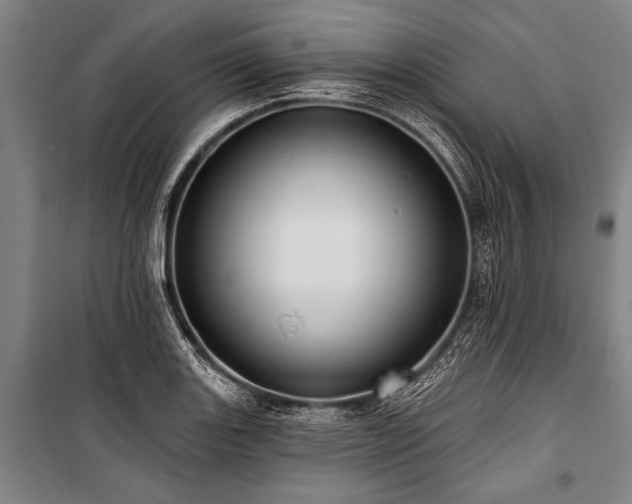 X0000101211131200806271408