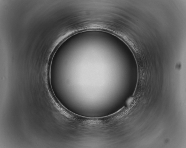 X0000101211134200806271408