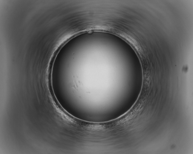 X0000101211135200806271408