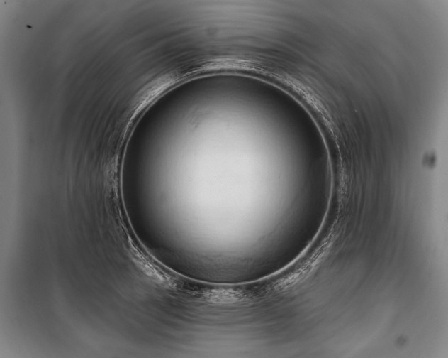X0000101211137200806271408