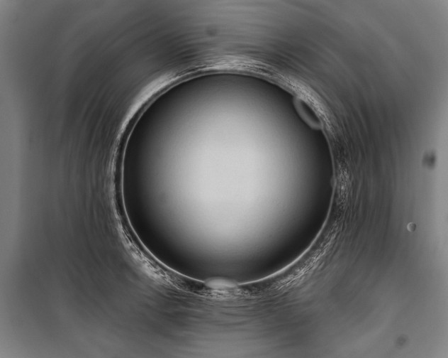 X0000101211138200806271408