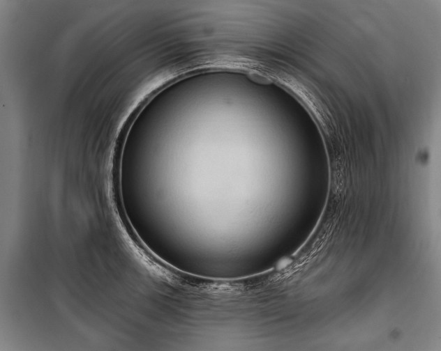 X0000101211139200806271408