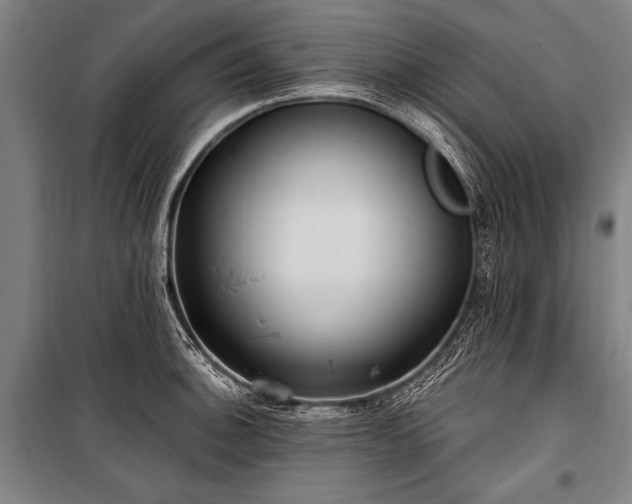 X0000101211140200806271408