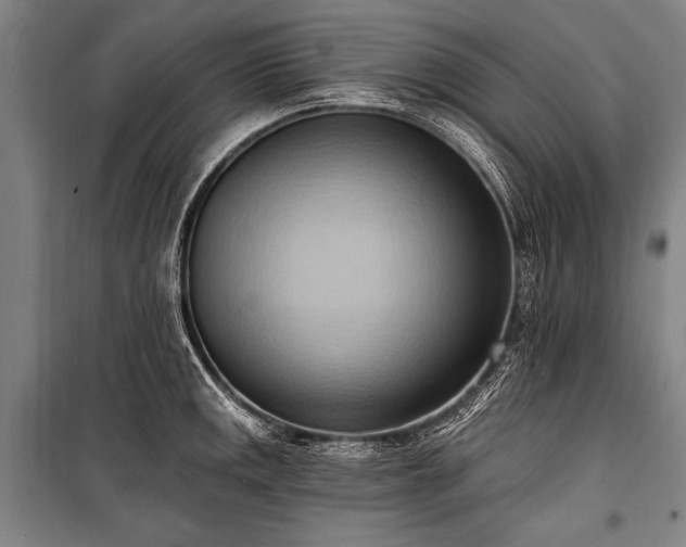 X0000101211141200806271408
