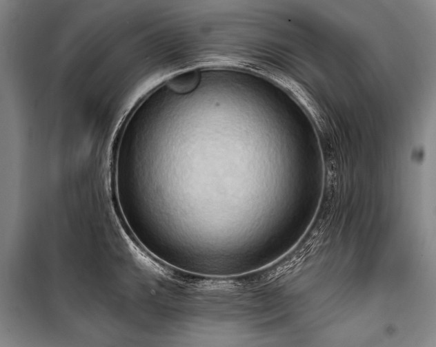 X0000101211143200806271408