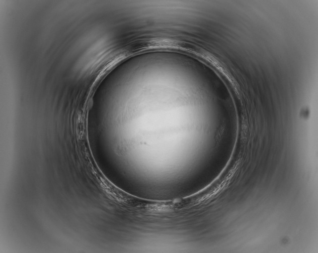 X0000101211145200806271408
