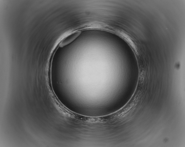 X0000101211146200806271408