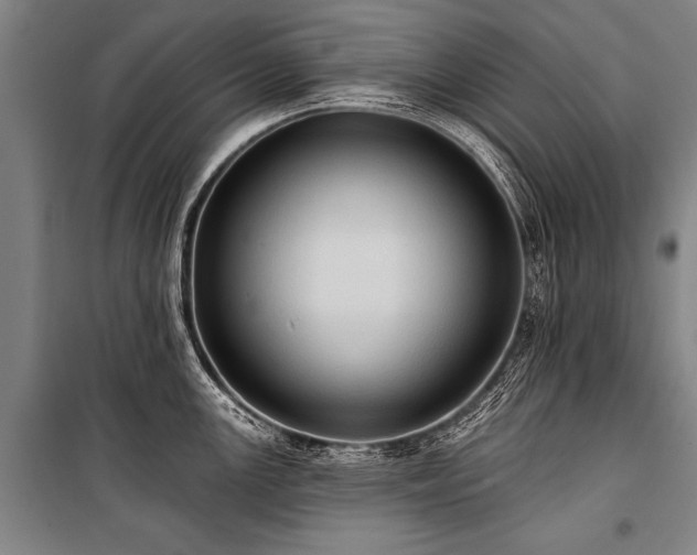 X0000101211147200806271408