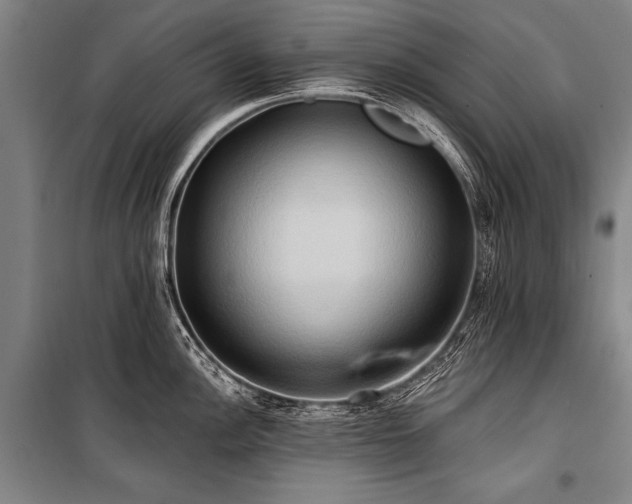 X0000101211148200806271408