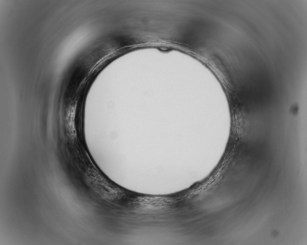 X0000101211150200806271408