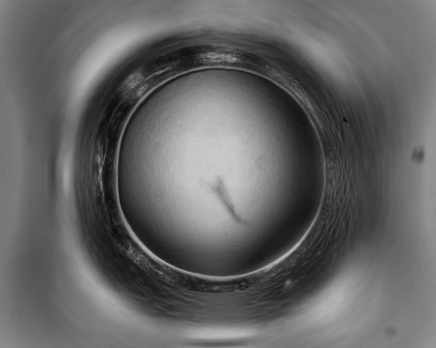 X0000101211151200806271408