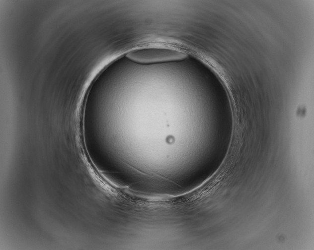 X0000101211152200806271408