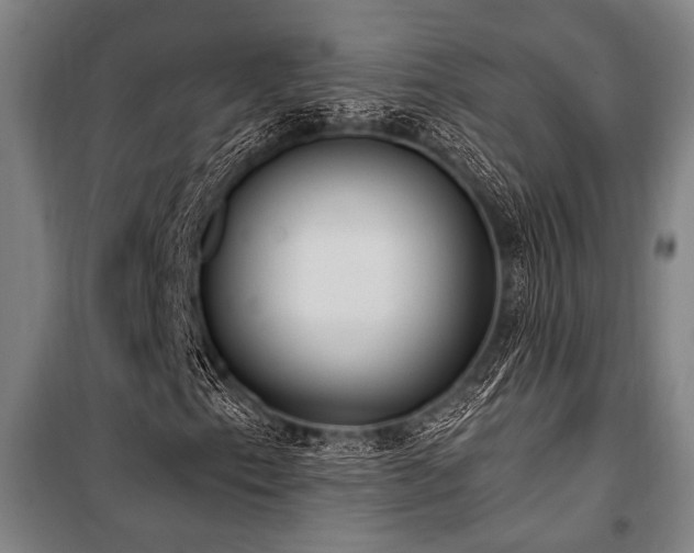 X0000101211153200806271408