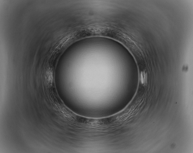 X0000101211155200806271408
