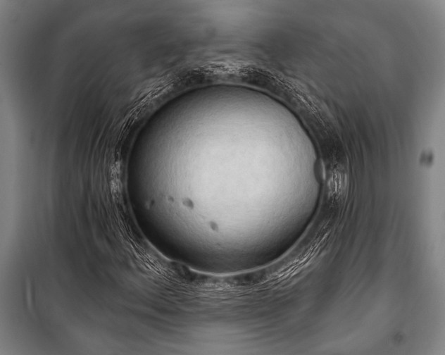 X0000101211156200806271408