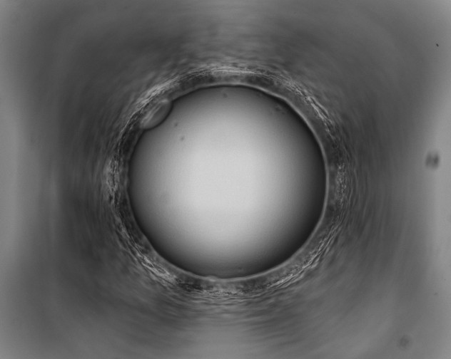 X0000101211157200806271408