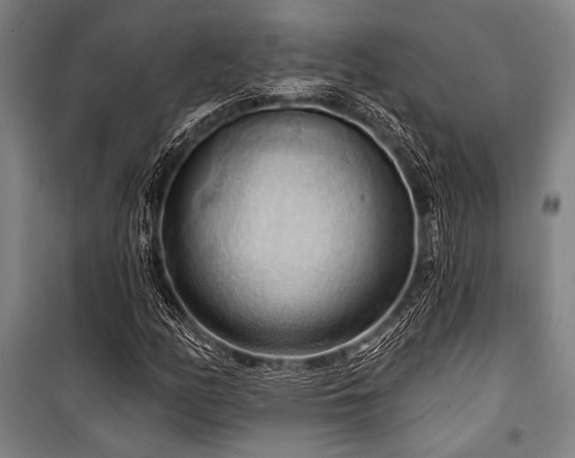 X0000101211158200806271407