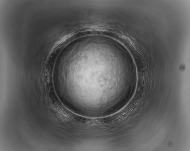X0000101211159200806271407