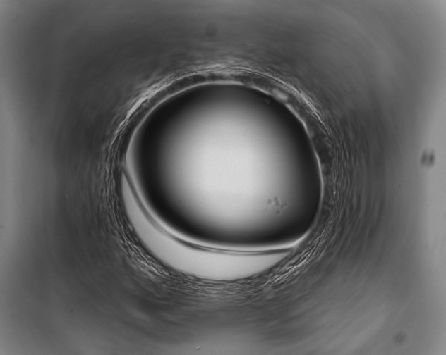 X0000101211160200806271407