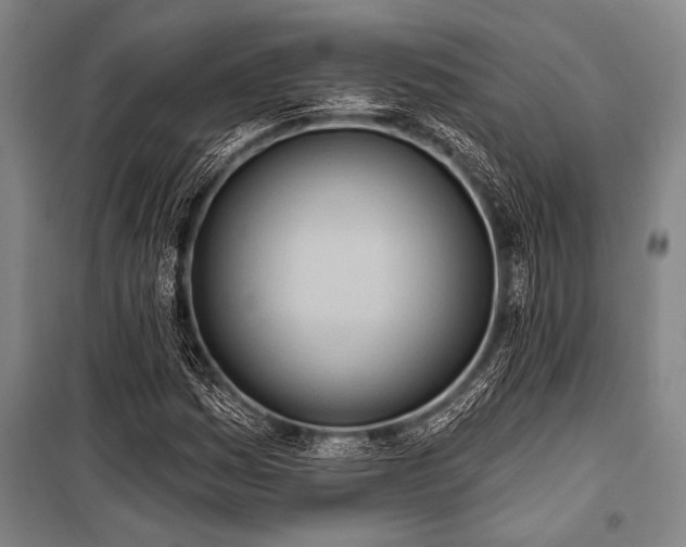 X0000101211161200806271407