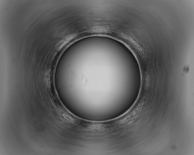 X0000101211162200806271407